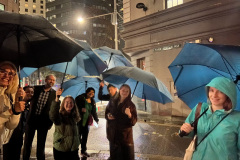 Umbrella2