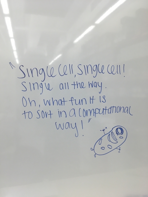 singlecells