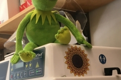 kermit