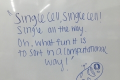 singlecells