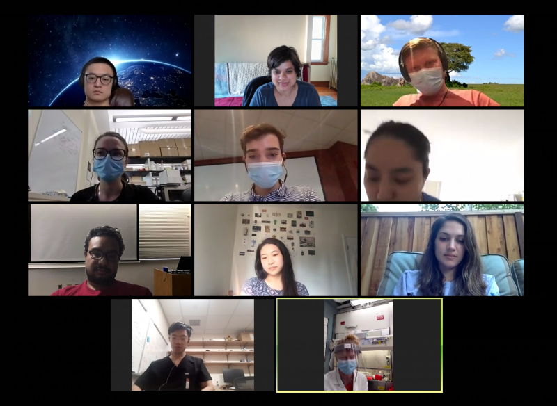 virtual_labmeeting