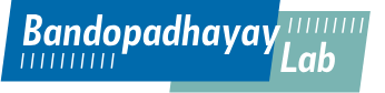 Bandopadhayay Lab